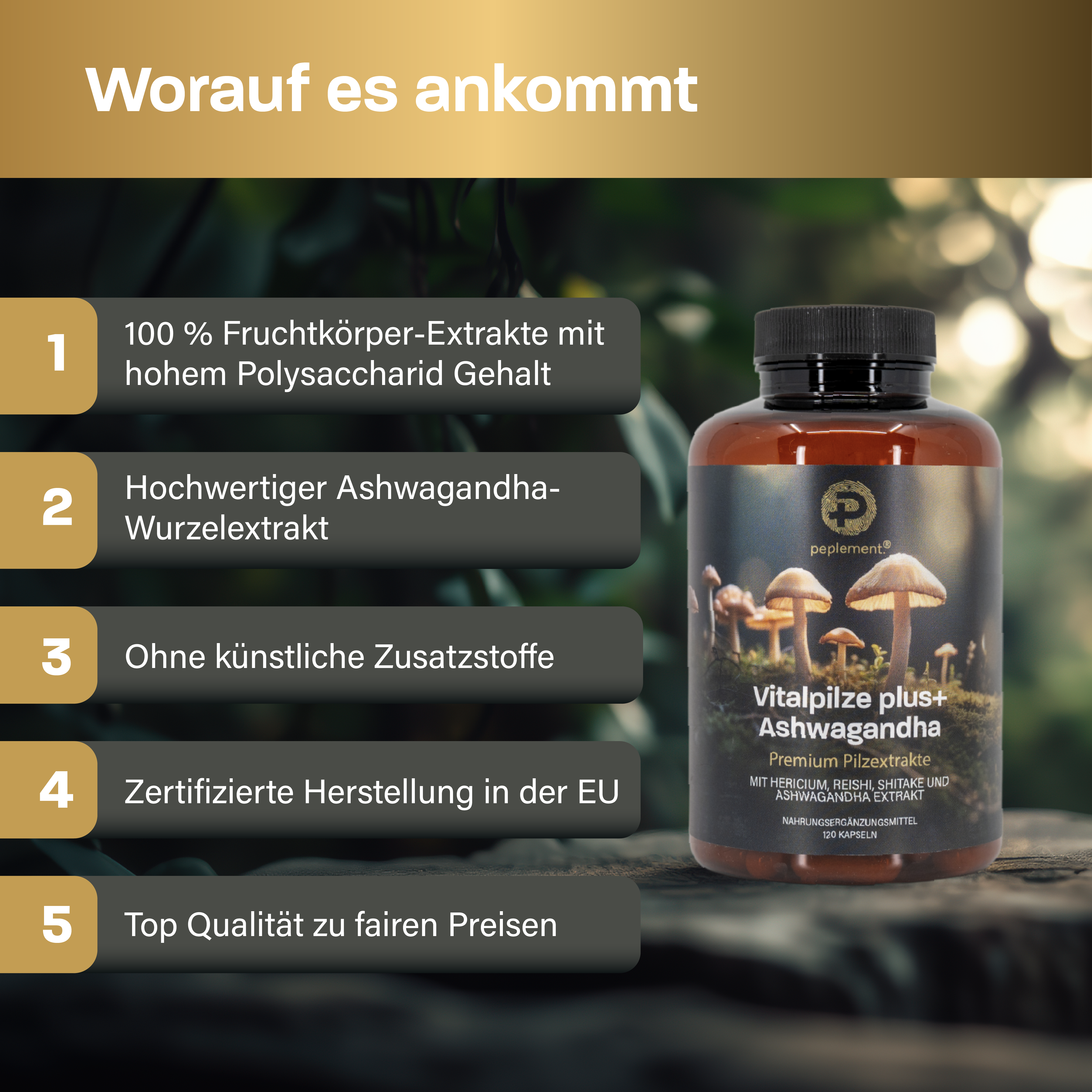 Vitalpilze plus+ Komplex mit Ashwagandha