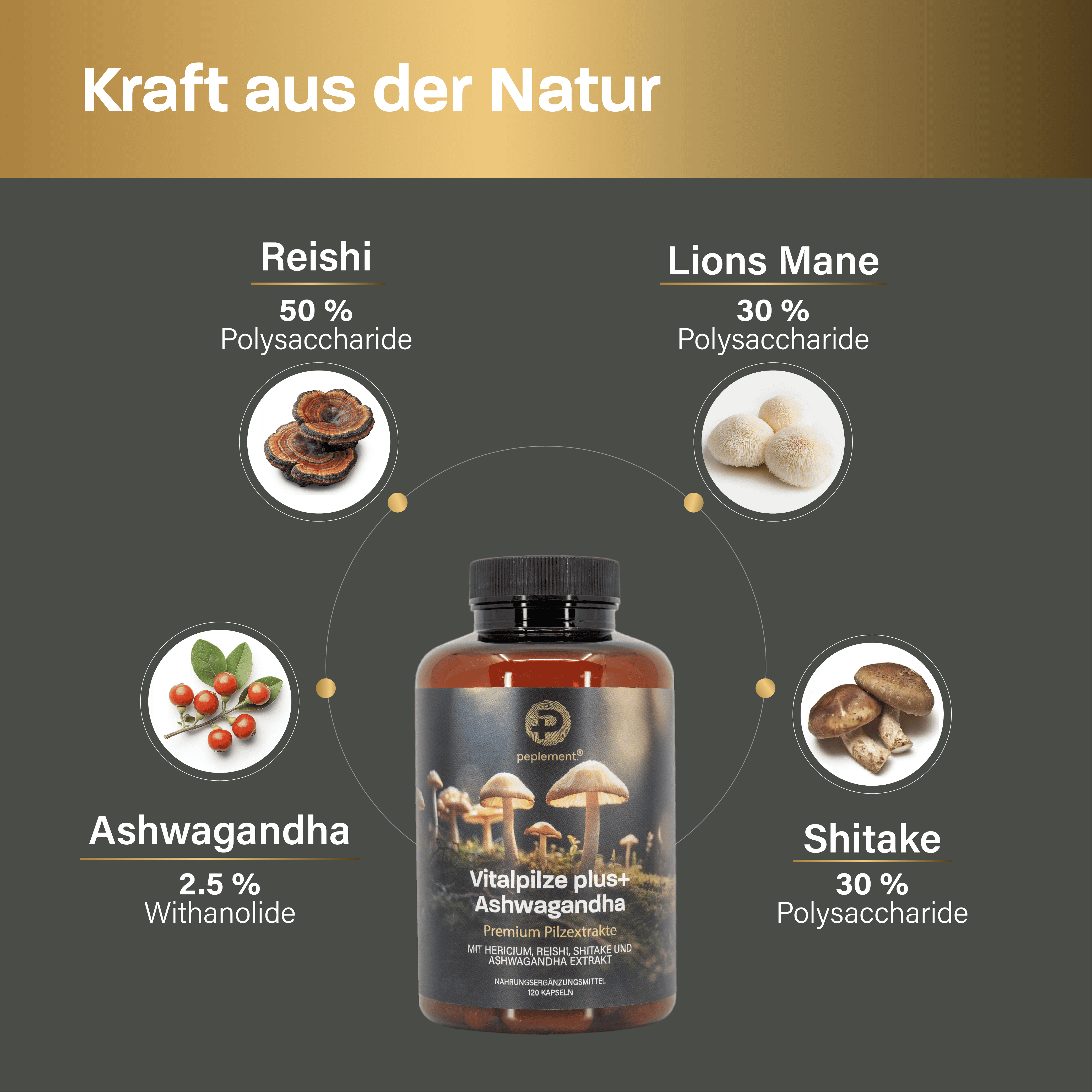 Vitalpilze plus+ Komplex mit Ashwagandha