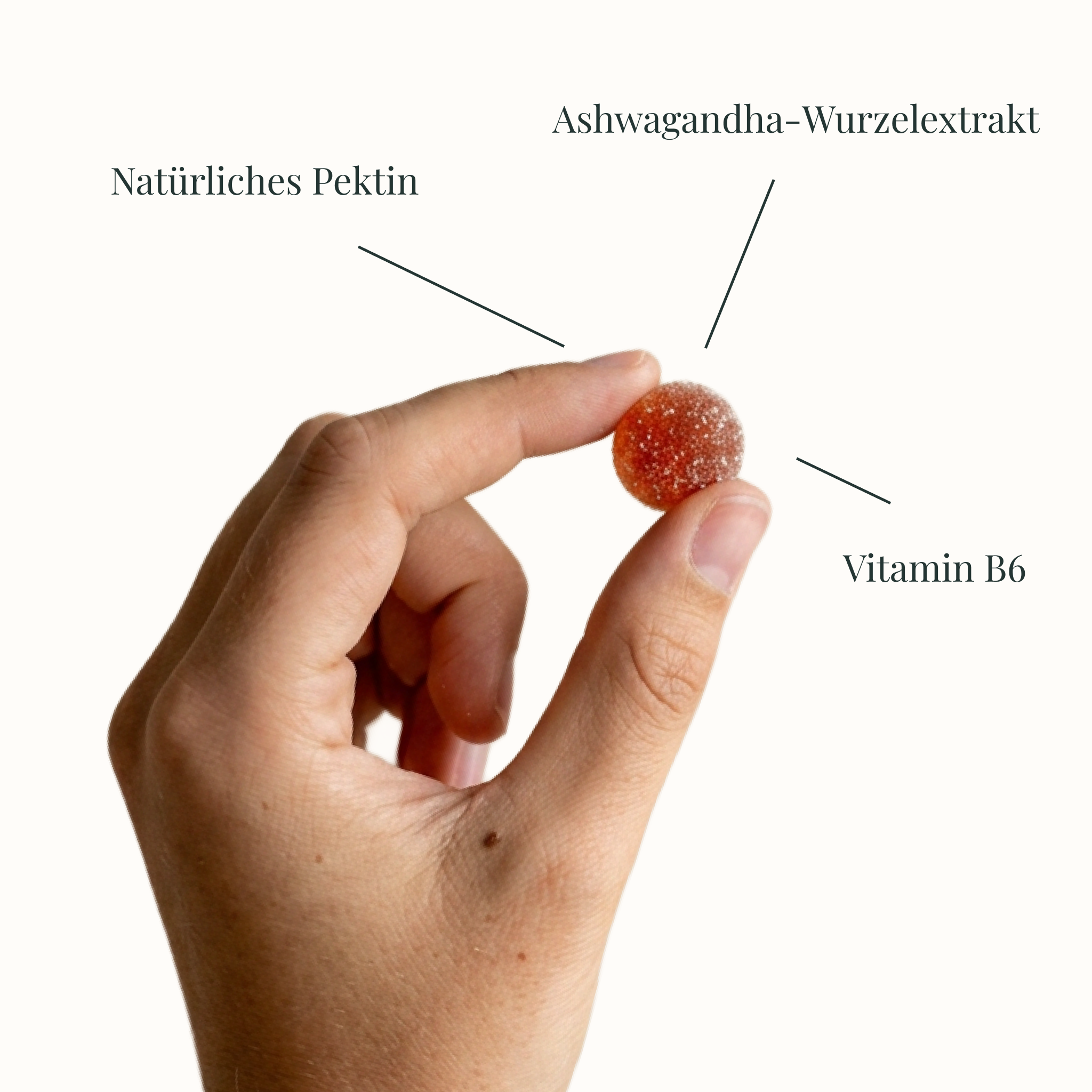 Ashwagandha Premium Gummies + Vitamin B6