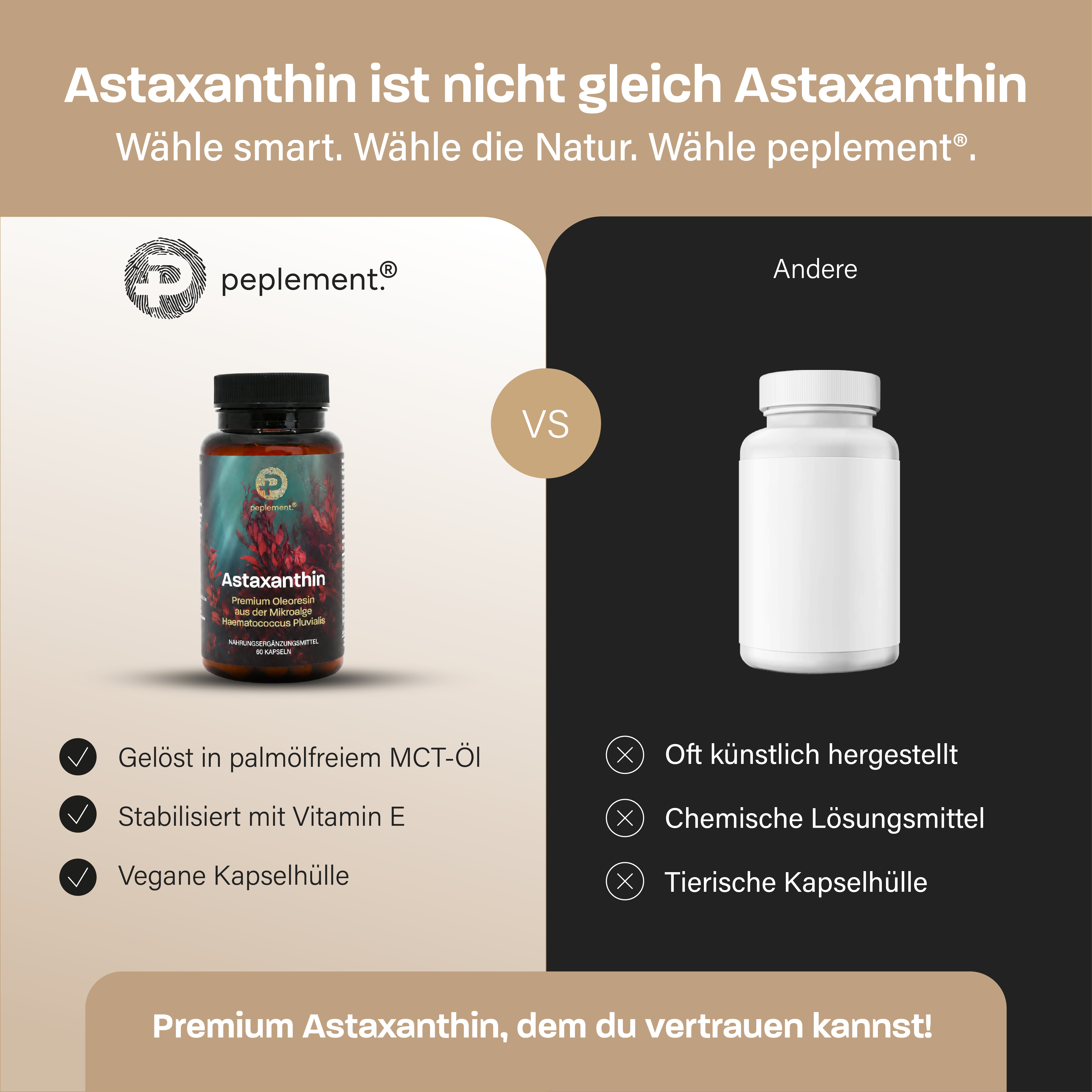 Performance & Recovery Bundle