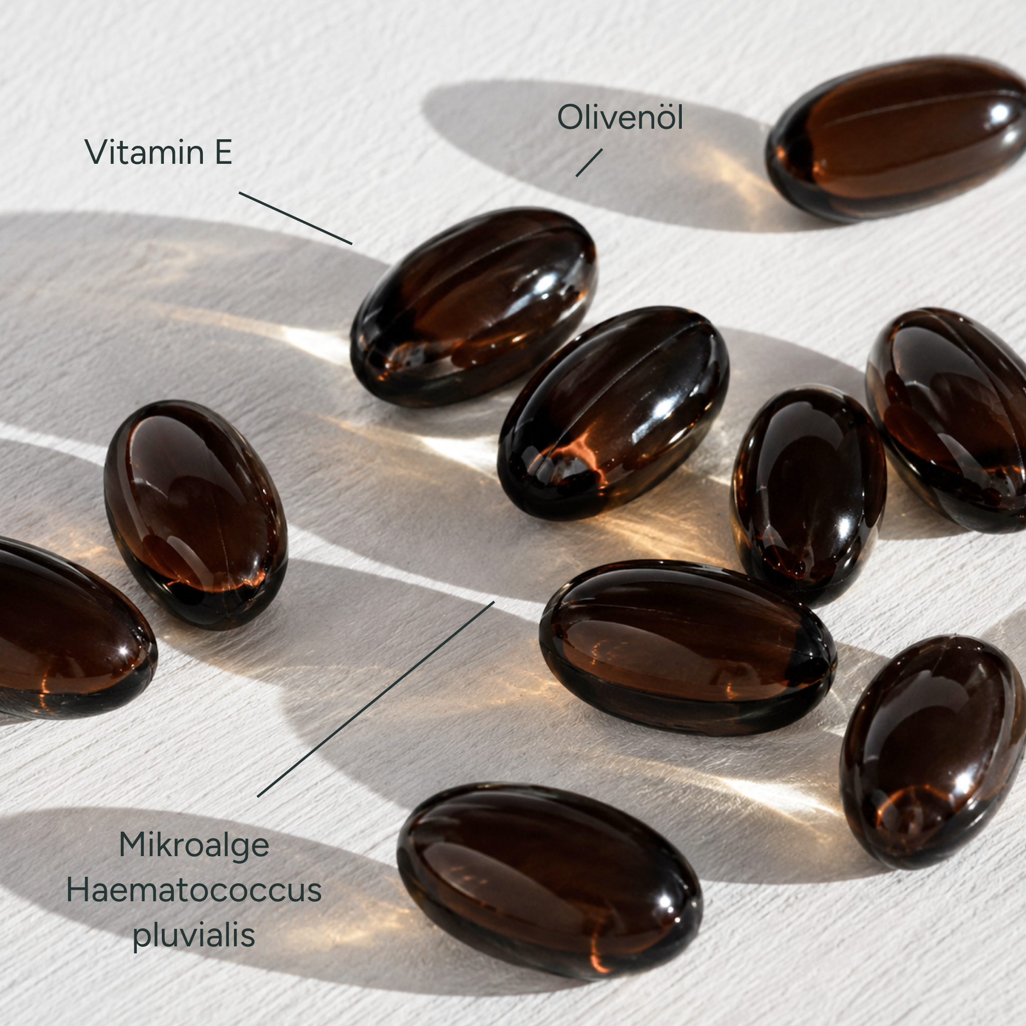 Performance & Recovery Bundle mit Kreatin & Astaxanthin