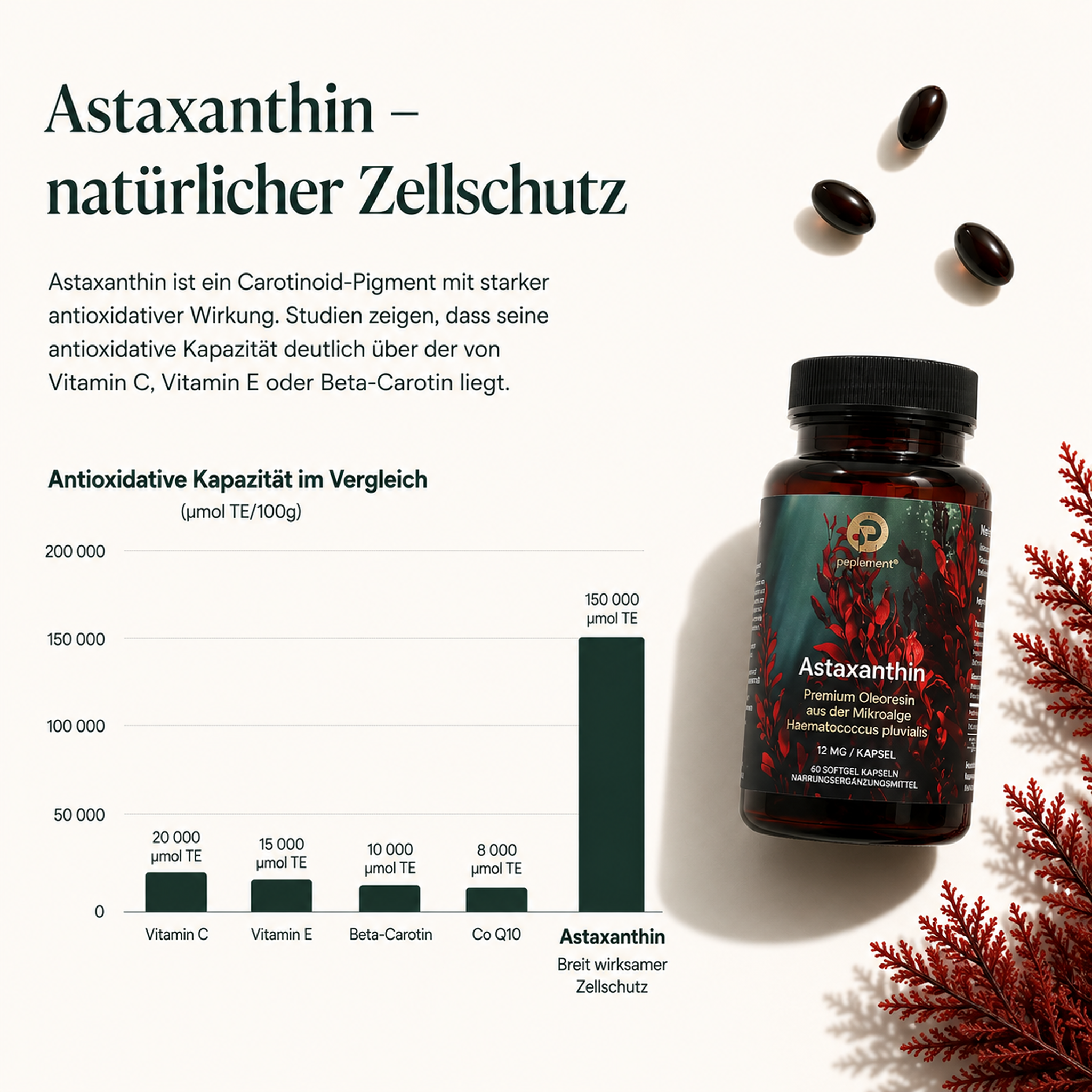 Performance & Recovery Bundle mit Kreatin & Astaxanthin