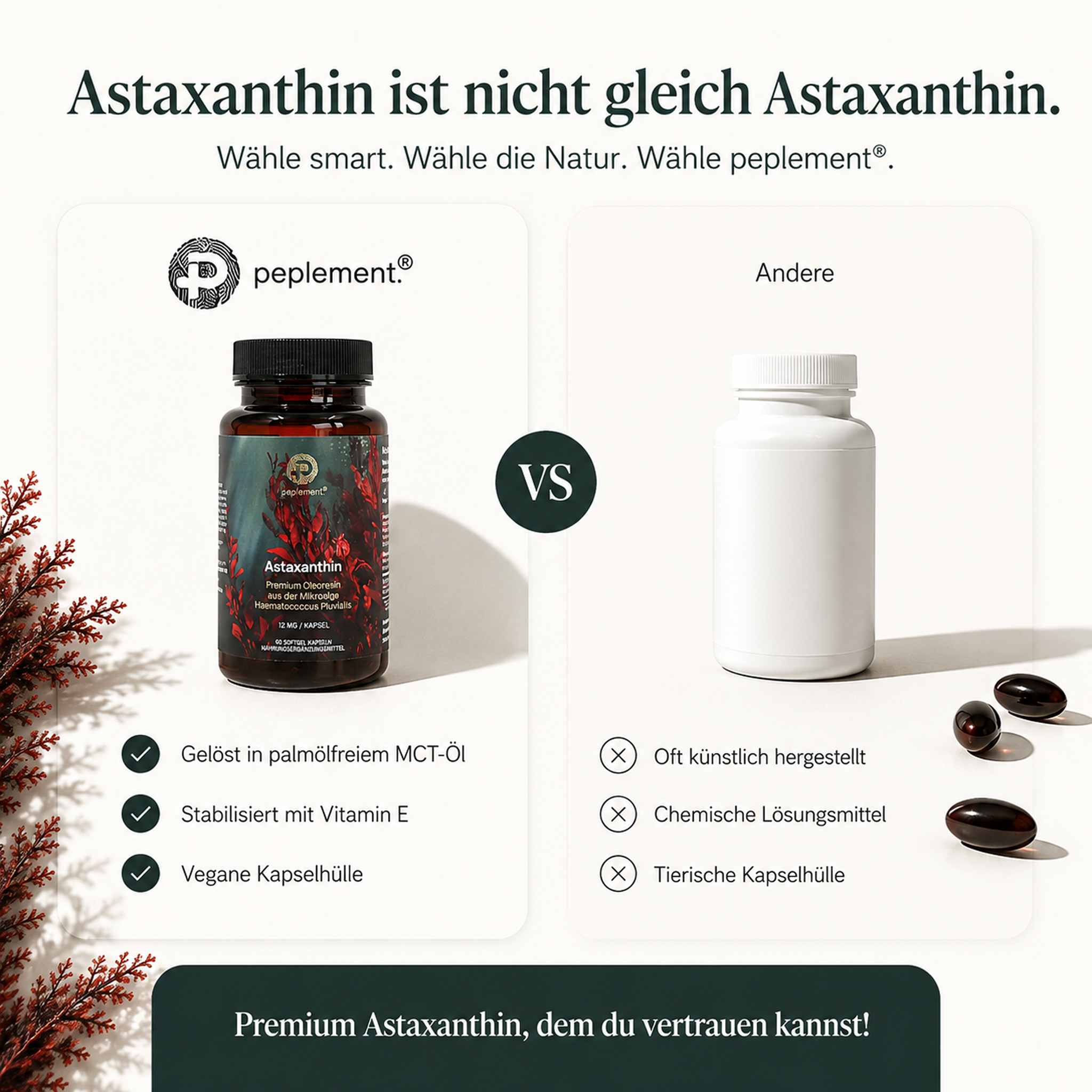 Performance & Recovery Bundle mit Kreatin & Astaxanthin