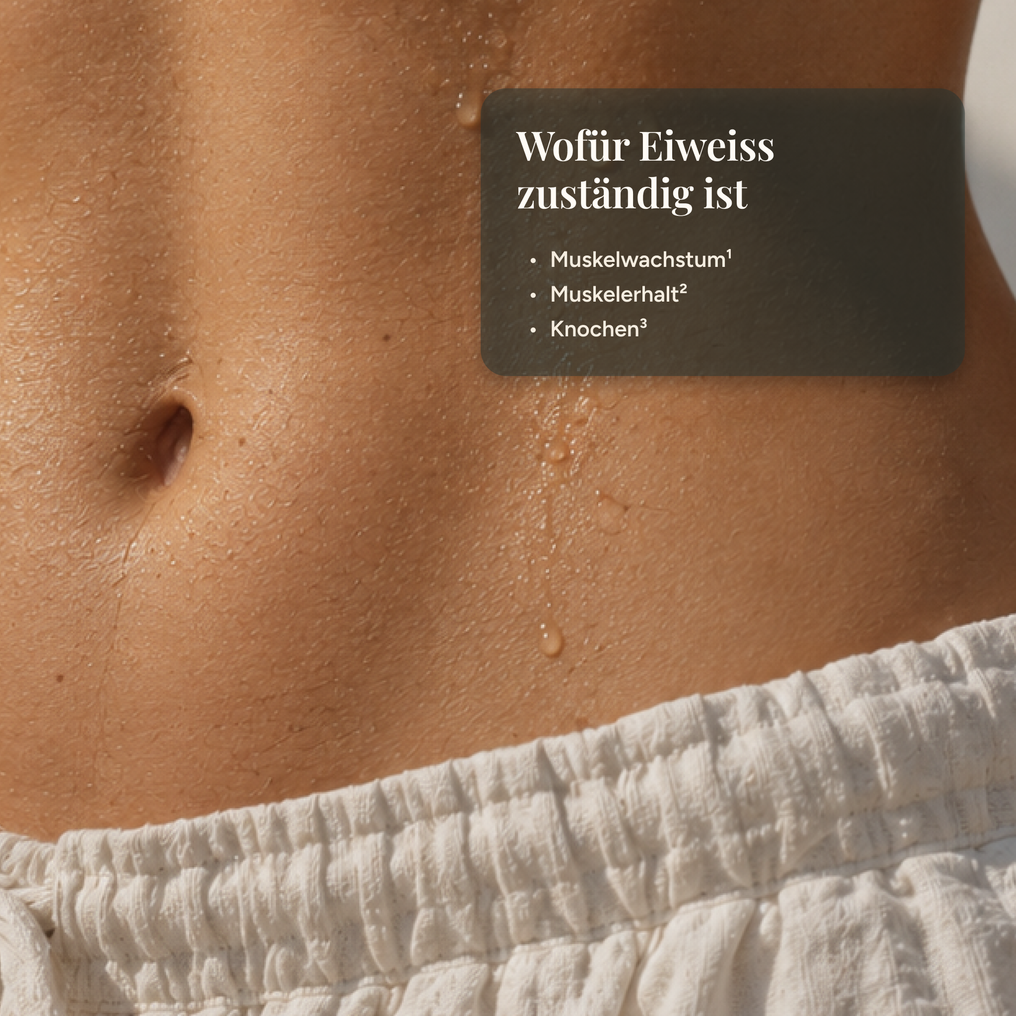 protein plus+ Schokolade - Veganes Protein aus Favabohnen, Kichererbsen & Reis