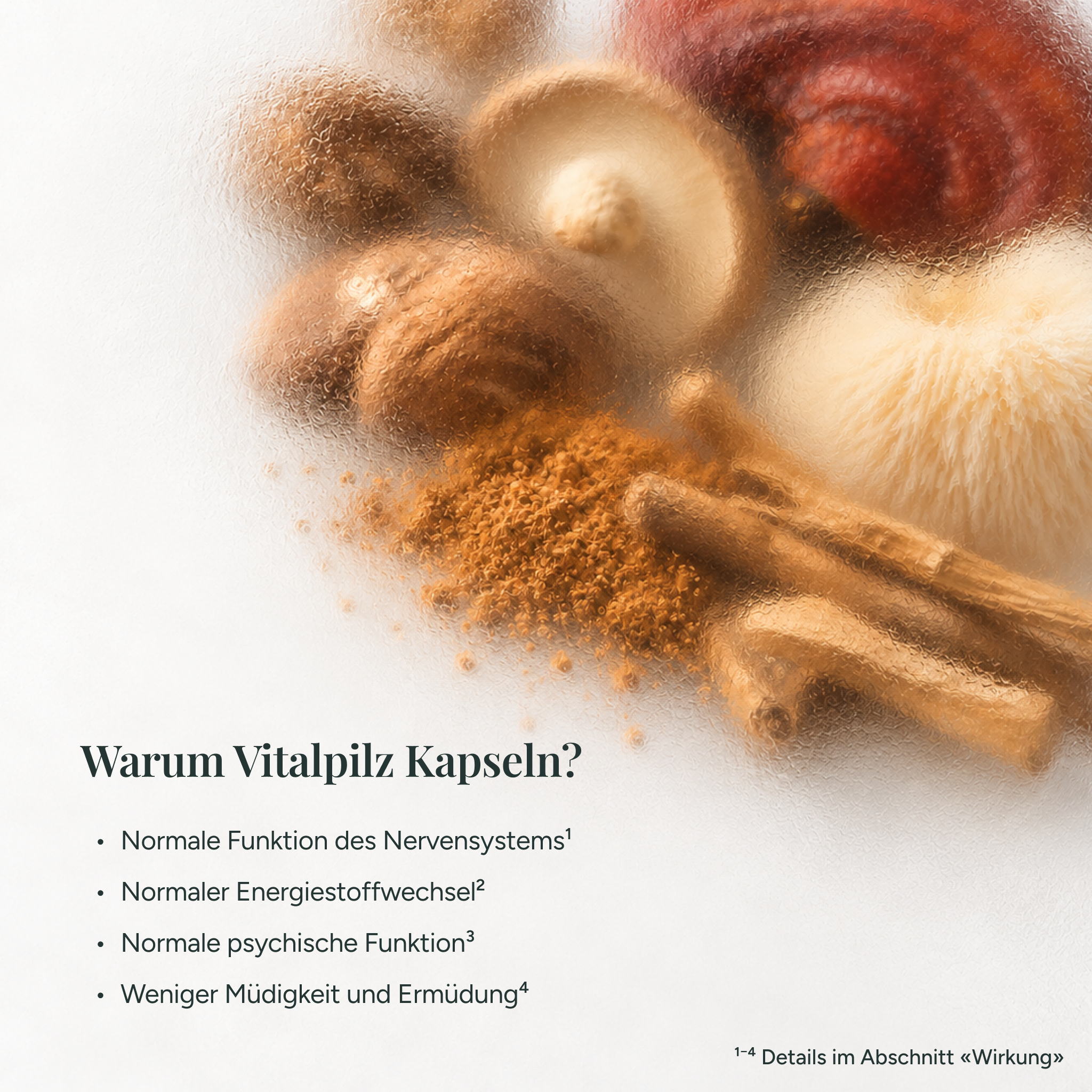 Anti-Stress Bundle - Shilajit, Vitalpilze & Ashwagandha
