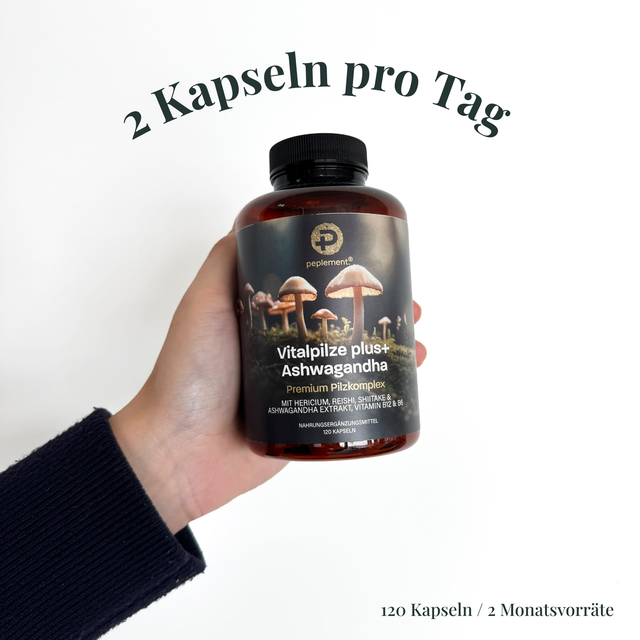 Vitalpilze Komplex Kapseln + Ashwagandha